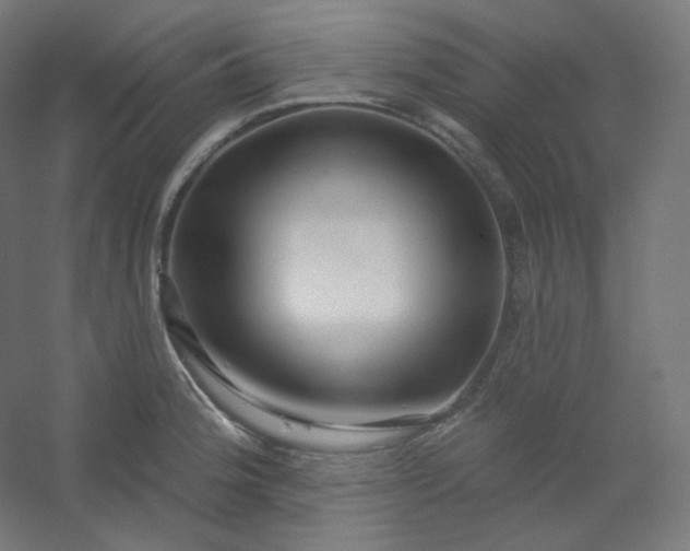 X0000054361188200508121506