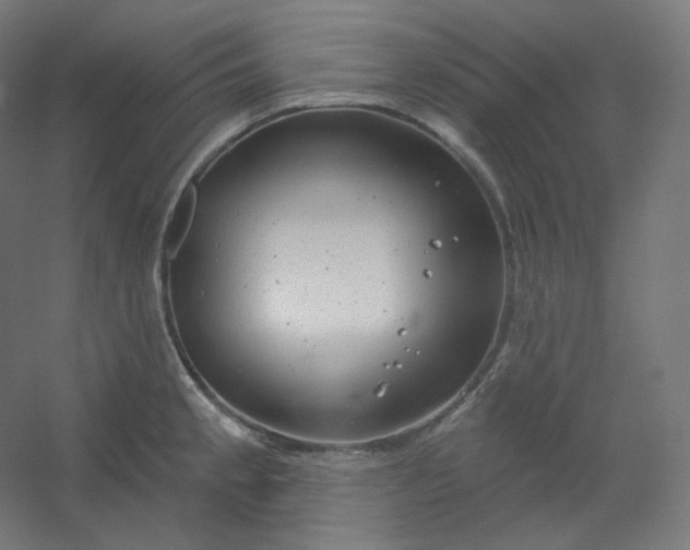 X0000054361189200508121506