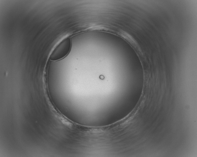 X0000054361190200508121506