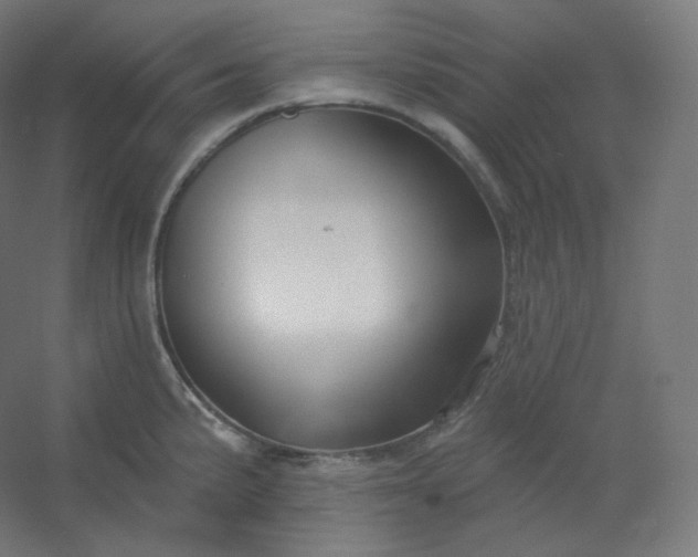 X0000054361191200508121506