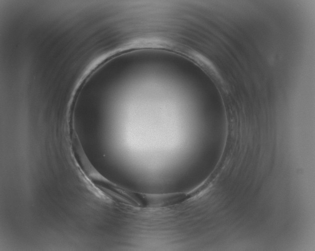 X0000054361192200508121506