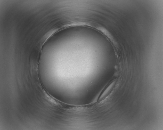 X0000054361193200508121506