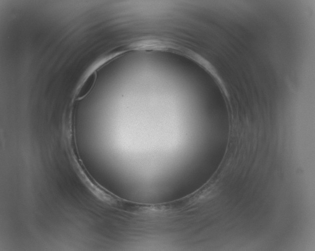 X0000054361195200508121506