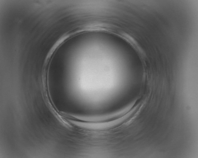 X0000054361196200508121506