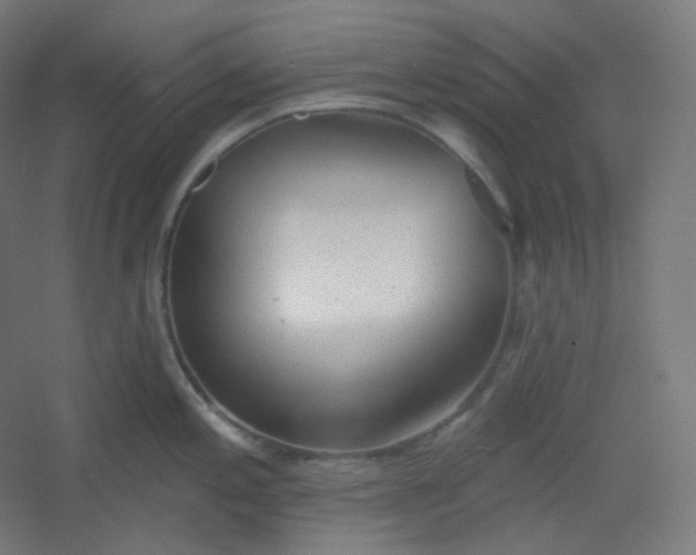 X0000054361197200508121506