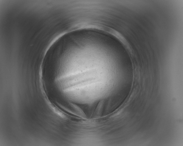 X0000054361198200508121506