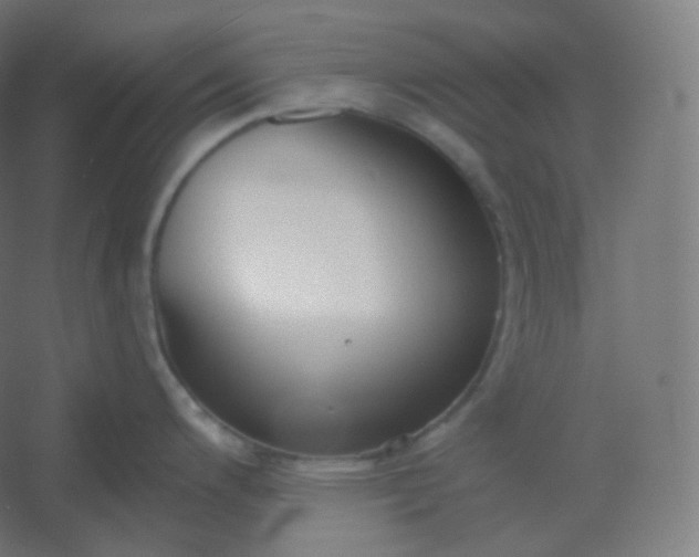 X0000054361200200508121506