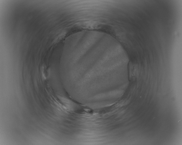 X0000054361202200508121505