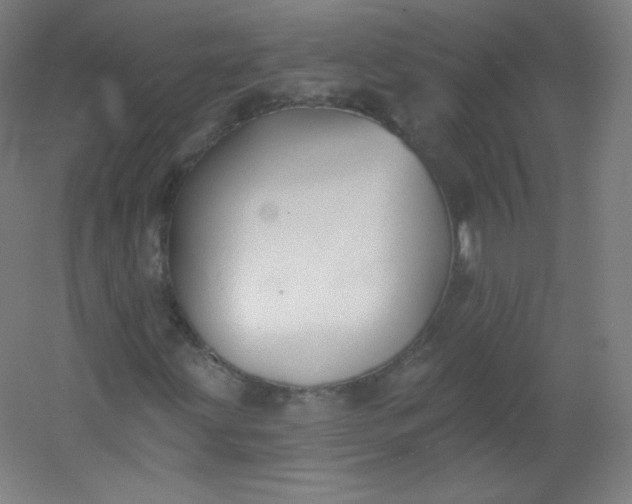 X0000054361203200508121505