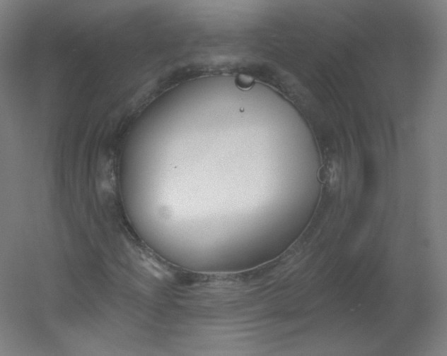 X0000054361204200508121505