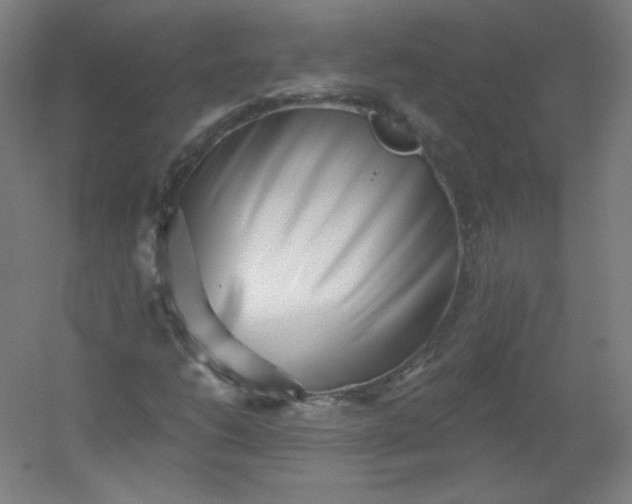 X0000054361206200508121505