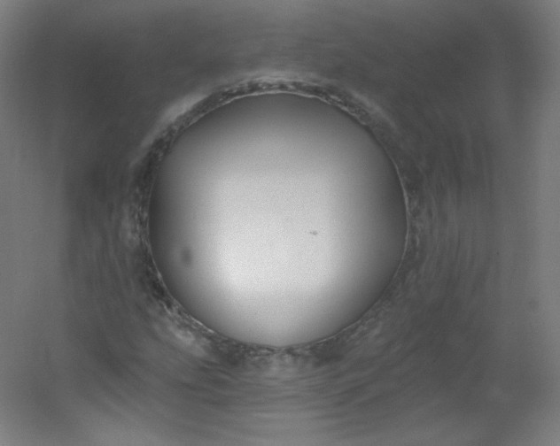 X0000054361207200508121505