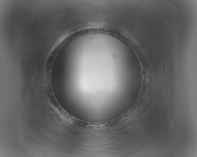 X0000054361208200508121505