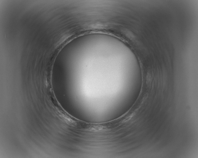X0000054361209200508121505