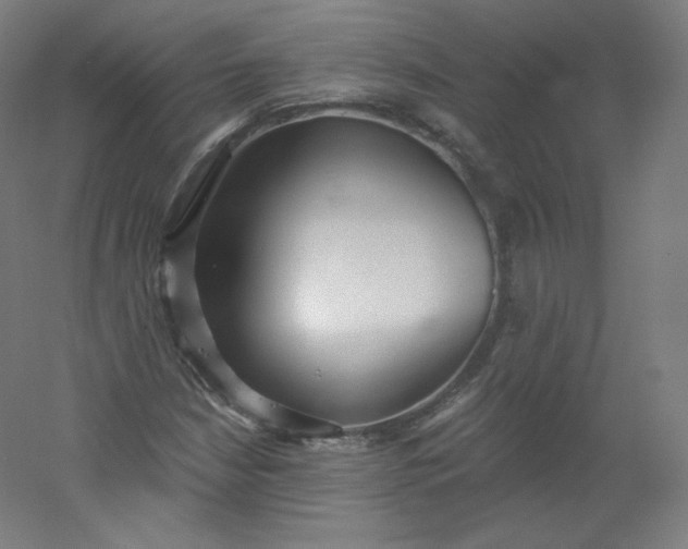 X0000054361210200508121505