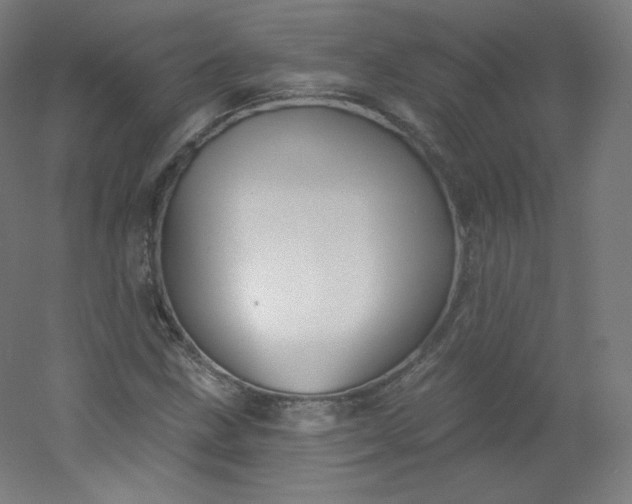 X0000054361211200508121505
