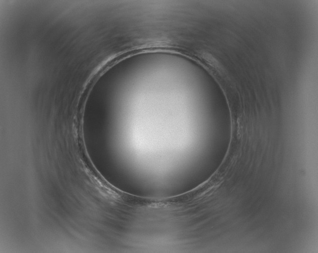 X0000054361212200508121505