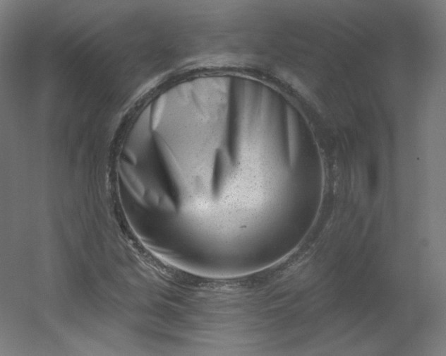 X0000054361213200508121505