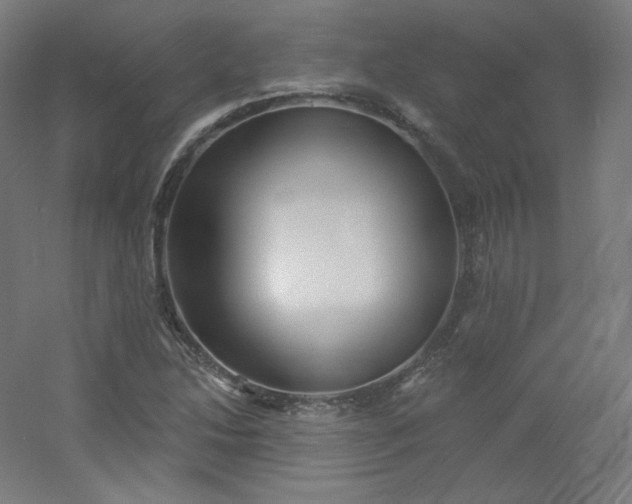 X0000054361214200508121505