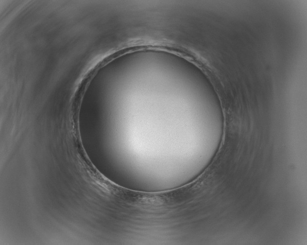 X0000054361215200508121505