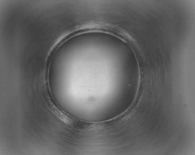 X0000054361216200508121505