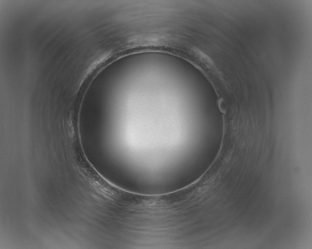 X0000054361218200508121505
