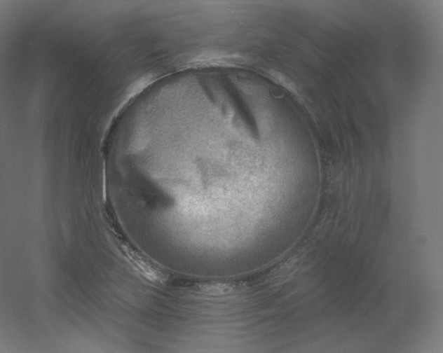 X0000054361219200508121505