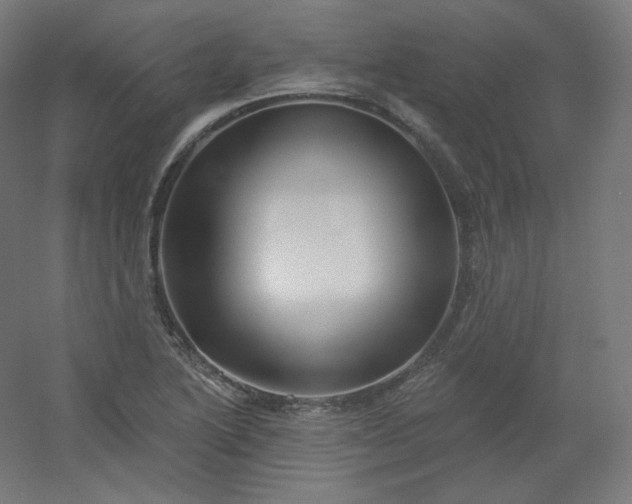 X0000054361222200508121505