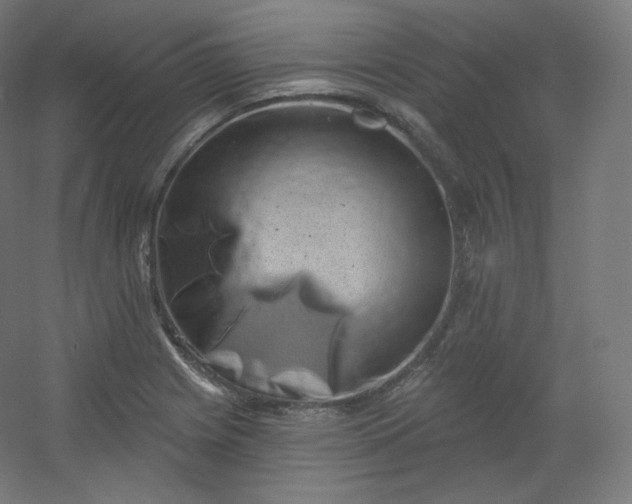 X0000054361225200508121505