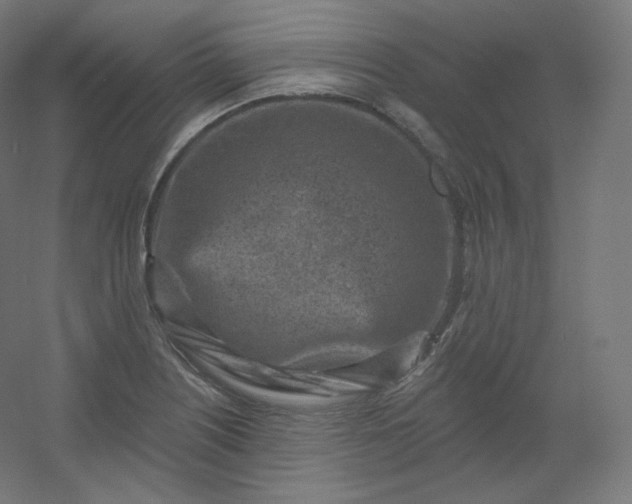 X0000054361226200508121505