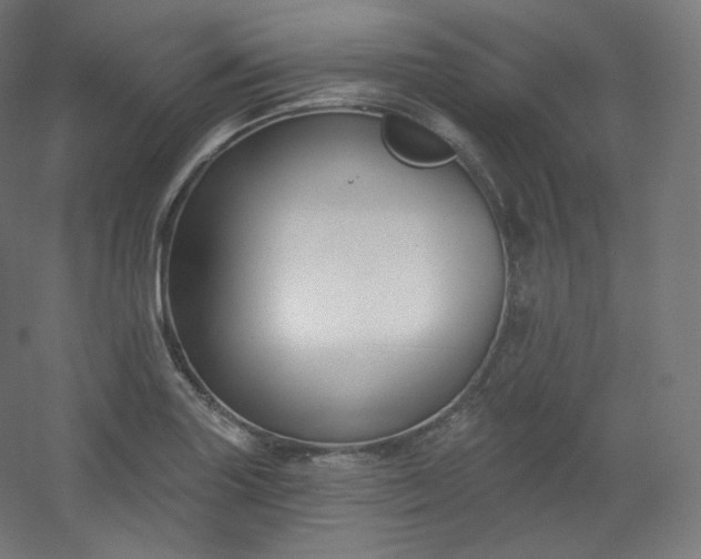 X0000054361227200508121505