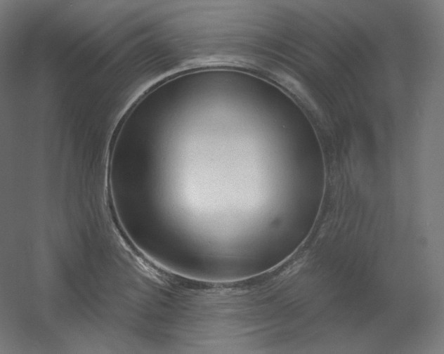 X0000054361228200508121505