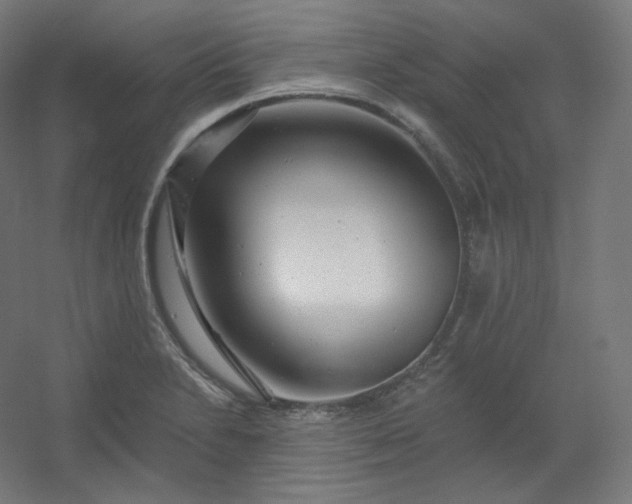 X0000054361230200508121505