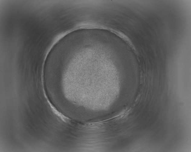 X0000054361231200508121505