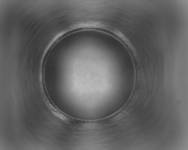 X0000054361232200508121505