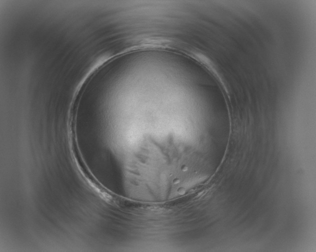 X0000054361235200508121505
