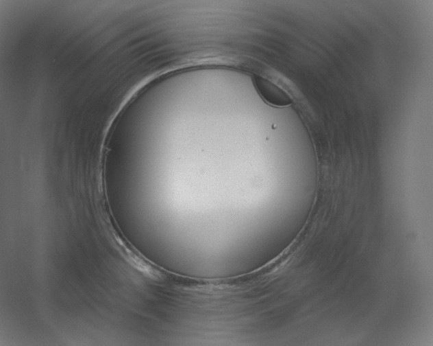 X0000054361236200508121505