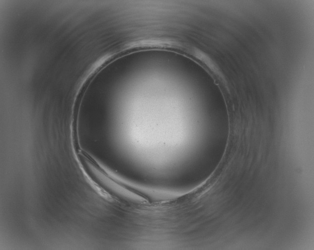X0000054361237200508121505