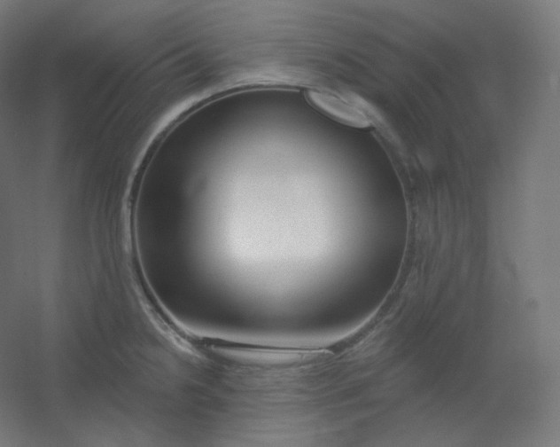 X0000054361238200508121505