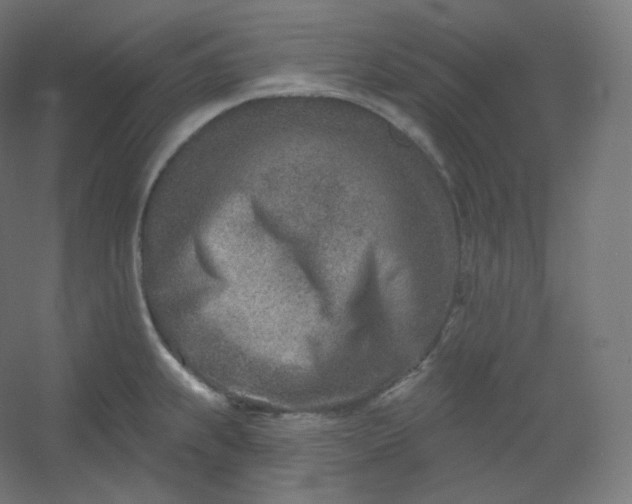 X0000054361239200508121505