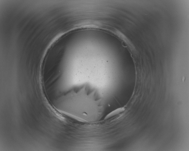 X0000054361240200508121505