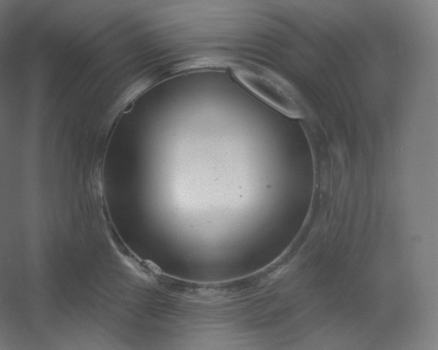X0000054361241200508121505