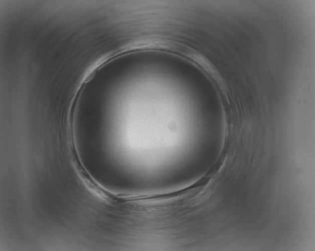 X0000054361242200508121506