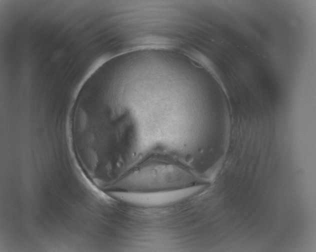 X0000054361243200508121506