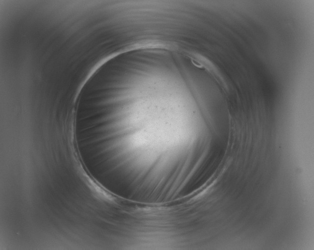 X0000054361244200508121506
