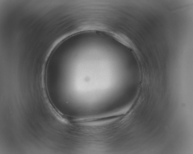 X0000054361246200508121506
