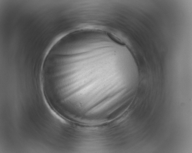 X0000054361247200508121506