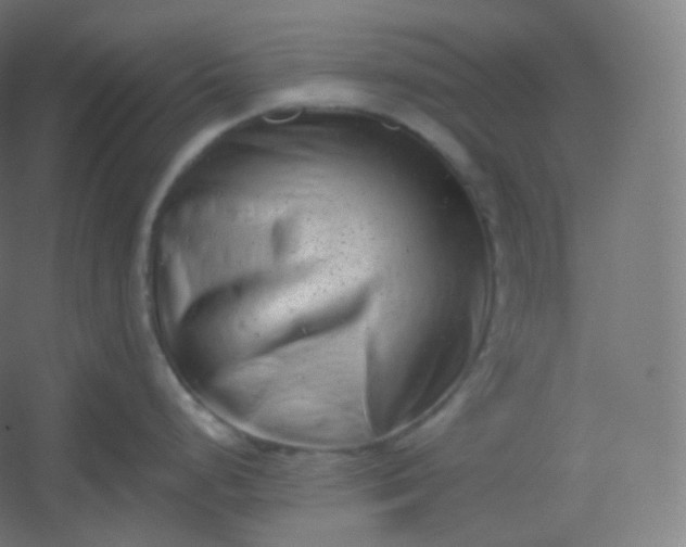 X0000054361248200508121506