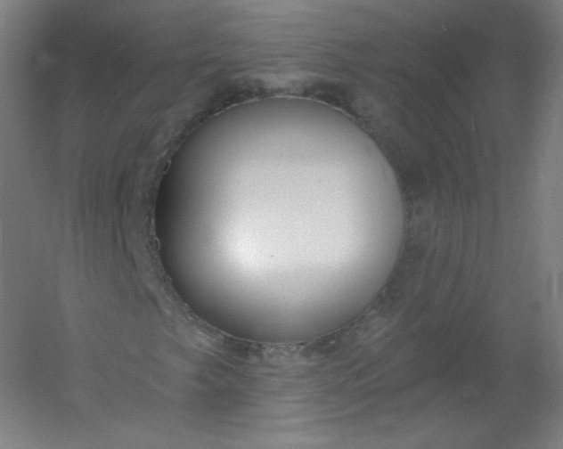 X0000054361249200508121505