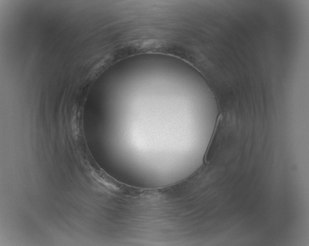 X0000054361250200508121505